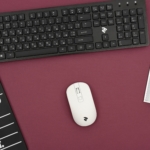 Mouse 2E MF210 WL White