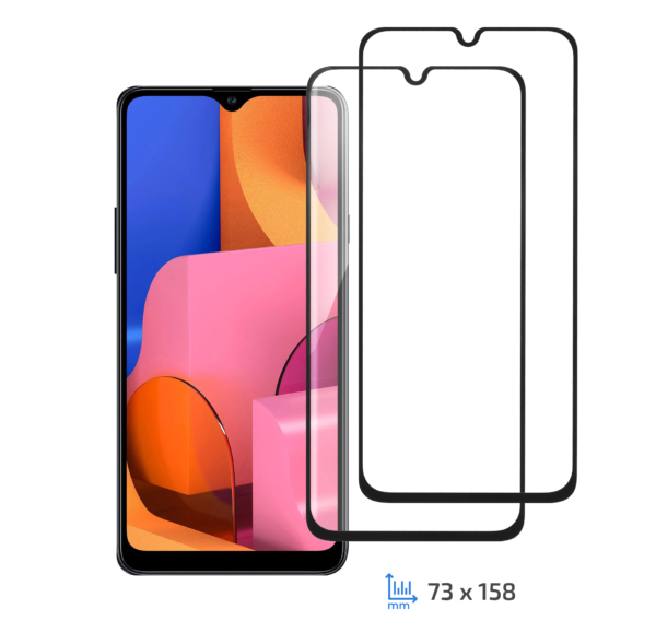 Комплект 2 в 1 защитное стекло 2E для Samsung Galaxy A20s, 2.5D FCFG, Black