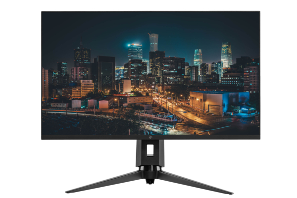 2E Монiтор LCD 31.5″ D3220B