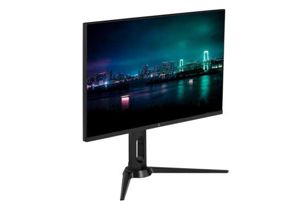 Monitor 2E H2720B Black