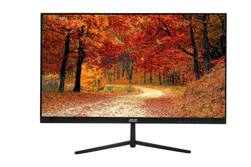 Монитор 2E D2421B Black