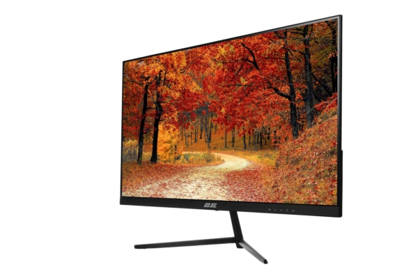 2E Монiтор LCD 23.8″ D2421B