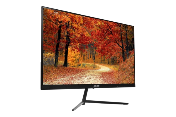 2E Монiтор LCD 23.8″ D2421B