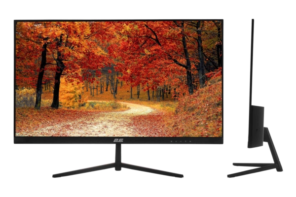 2E Монiтор LCD 23.8″ D2421B