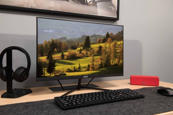 2E Монiтор LCD 23.8″ D2421B
