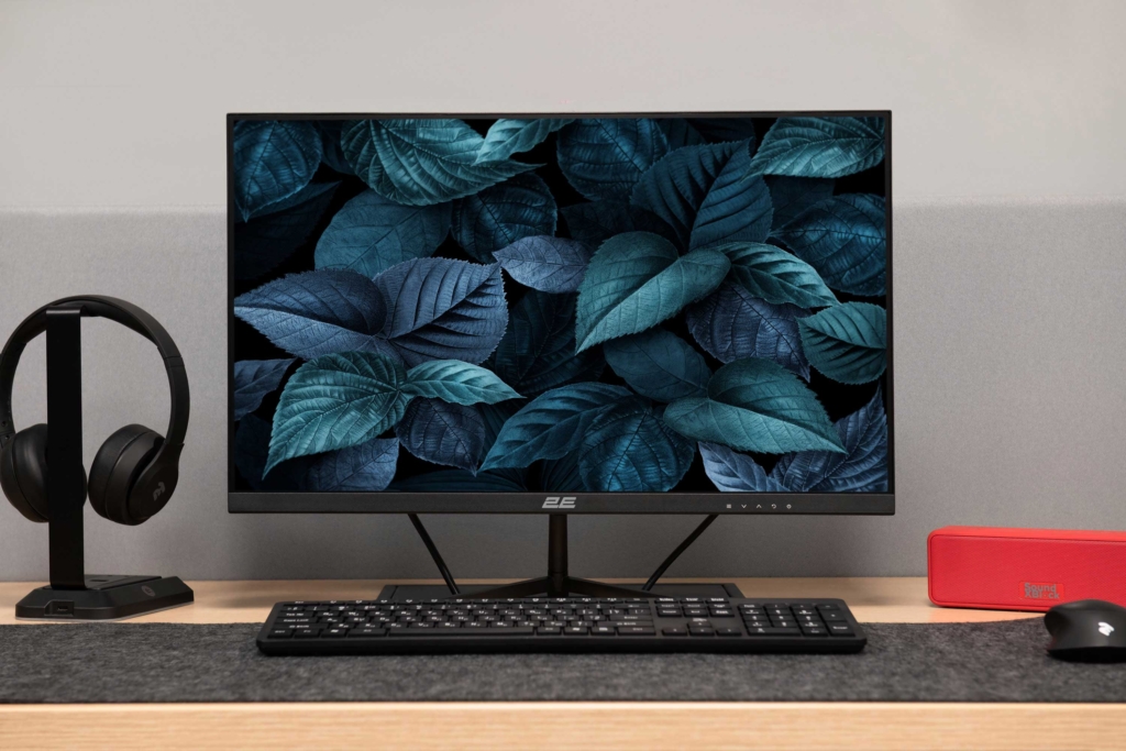 Монитор 2E D2421B Black