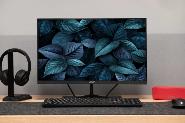 2E Монiтор LCD 23.8″ D2421B