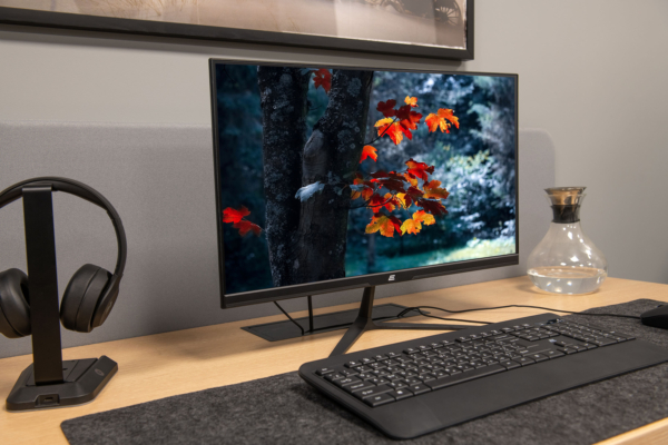 Monitor 2E C2420B Black