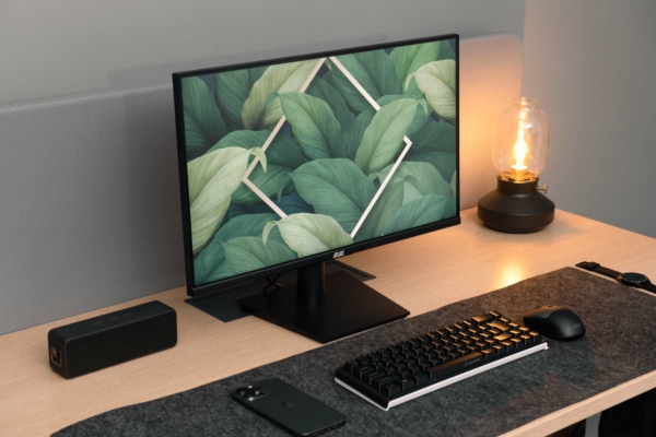Monitor 2E B2423B Black