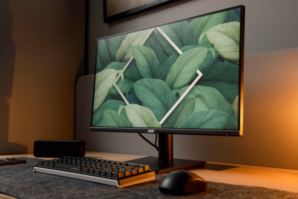 Monitor 2E B2423B Black