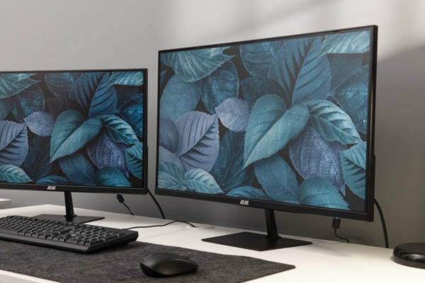Monitor 2E E2423B Black