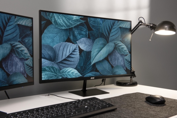 Monitor 2E E2423B Black
