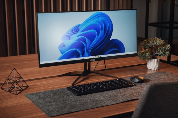 Monitor 2E D2923B Black