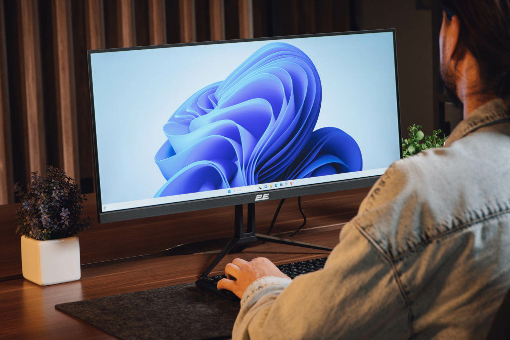 Monitor 2E D2923B Black