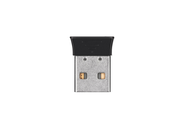 Mouse 2E MF300 Silent, WL/BT, graphite-black