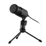 Микрофон для ПК 2Е MPC010, USB