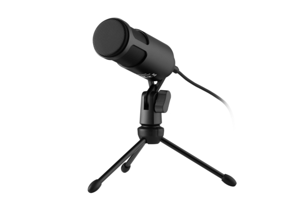 Микрофон для ПК 2Е MPC010, USB