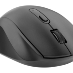 Mouse 2E MF240 Silent, WL, black