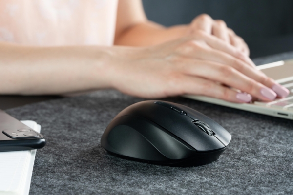 Mouse 2E MF240 Silent, WL, black