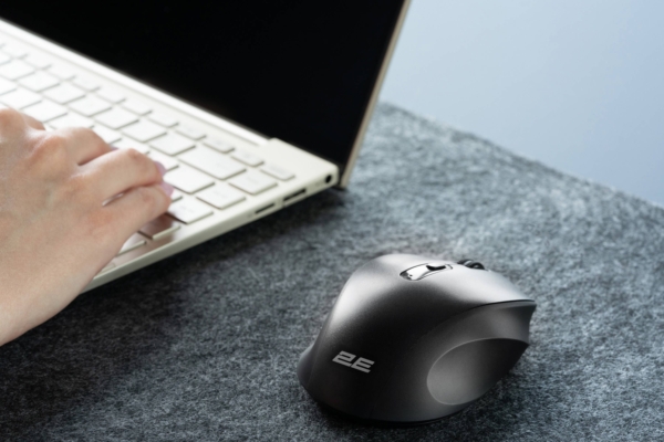 Mouse 2E MF240 Silent, WL, black