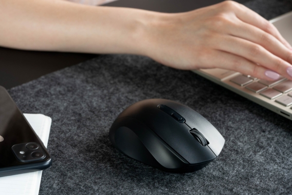 Mouse 2E MF240 Silent, WL, black