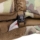 2E Tactical winter gloves, Full Touch 3M, L, Multicam