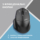 Mouse 2E MF280 Silent, WL/BT, black
