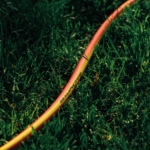 Шланг садовый 2Е AquaFlex Orange 3/4″ 30м 4 слоя 20бар -10…+60°C