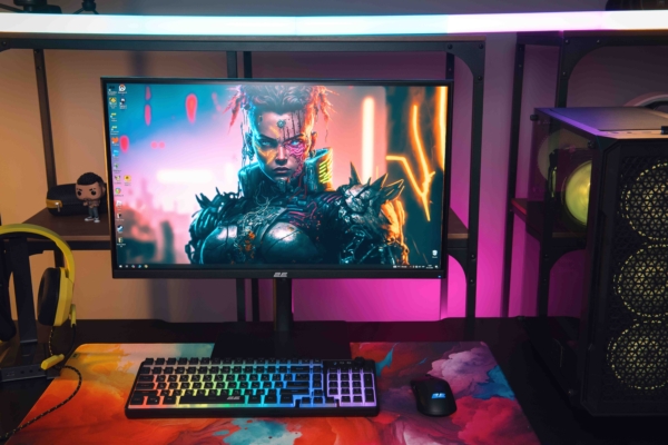 Monitor 2E 23.8″ E2425B D-Sub, HDMI, VA, 100Hz, FreeSync