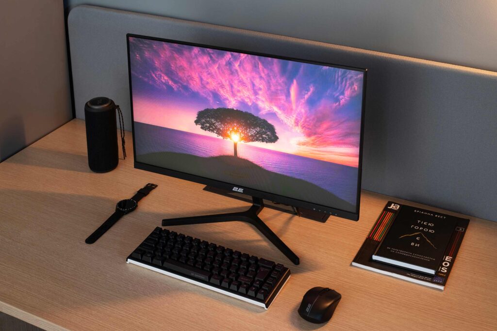 Monitor 2E 23.8″ D2425B D-Sub, HDMI, MM, IPS, 100Hz, FreeSync