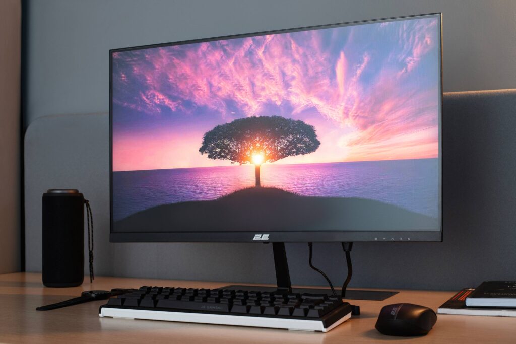 Monitor 2E 23.8″ D2425B D-Sub, HDMI, MM, IPS, 100Hz, FreeSync