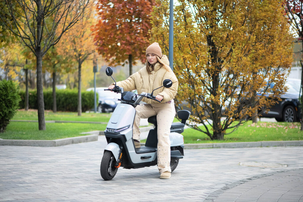 Electric scooter 2E S70, grey